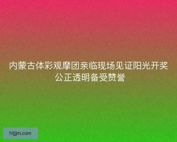 内蒙古体彩观摩团亲临现场见证阳光开奖 公正透明备受赞誉
