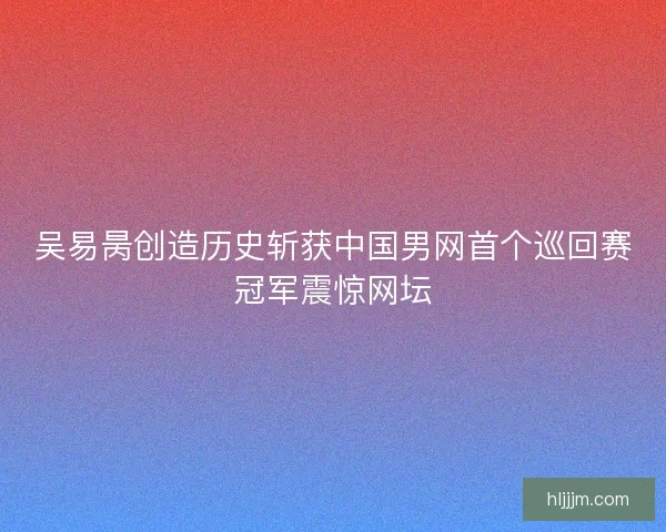 吴易昺创造历史斩获中国男网首个巡回赛冠军震惊网坛