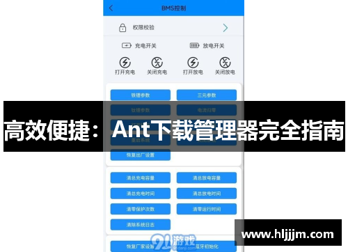 高效便捷：Ant下载管理器完全指南